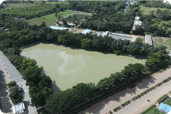 rain water pond img